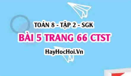 Bài 5 trang 66 Toán 8 Tập 2 Chân trời sáng tạo